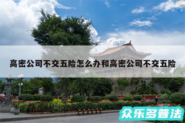 高密公司不交五险怎么办和高密公司不交五险