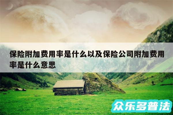 保险附加费用率是什么以及保险公司附加费用率是什么意思