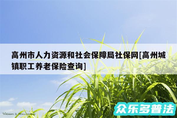 高州市人力资源和社会保障局社保网及高州城镇职工养老保险查询