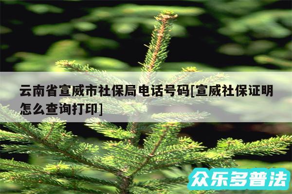 云南省宣威市社保局电话号码及宣威社保证明怎么查询打印