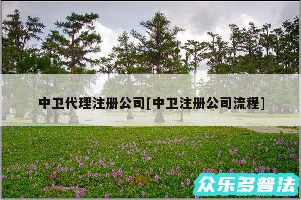 中卫代理注册公司及中卫注册公司流程