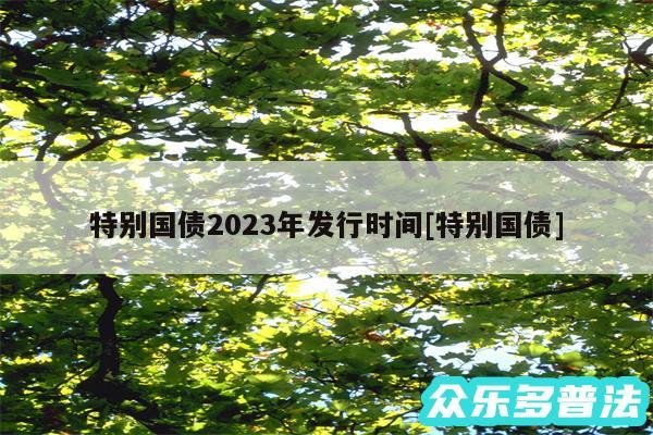 特别国债2024年发行时间及特别国债