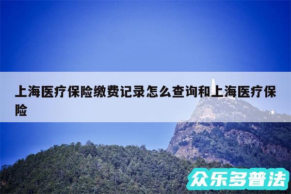 上海医疗保险缴费记录怎么查询和上海医疗保险