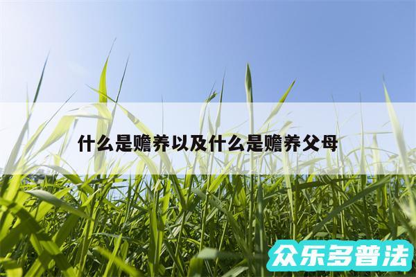 什么是赡养以及什么是赡养父母