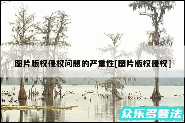 图片版权侵权问题的严重性及图片版权侵权
