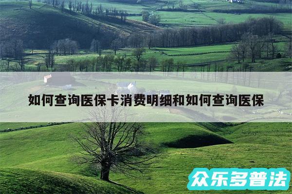 如何查询医保卡消费明细和如何查询医保