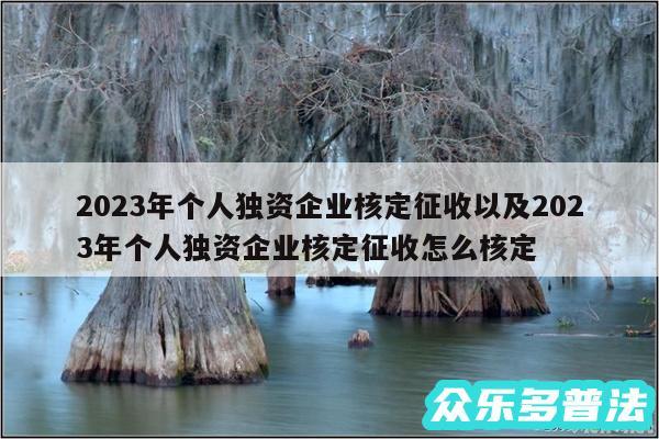 2024年个人独资企业核定征收以及2024年个人独资企业核定征收怎么核定