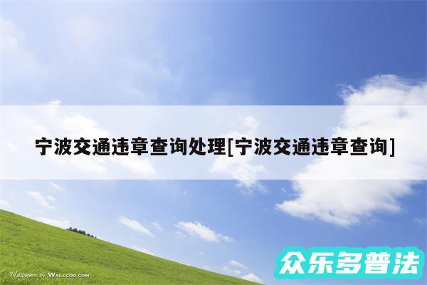 宁波交通违章查询处理及宁波交通违章查询