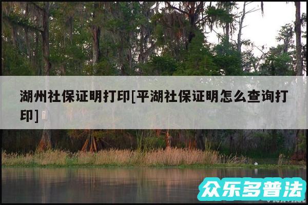 湖州社保证明打印及平湖社保证明怎么查询打印