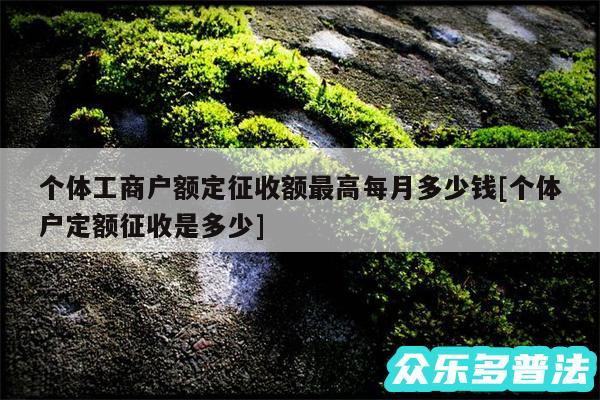 个体工商户额定征收额最高每月多少钱及个体户定额征收是多少