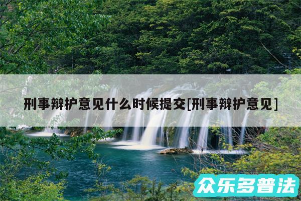 刑事辩护意见什么时候提交及刑事辩护意见