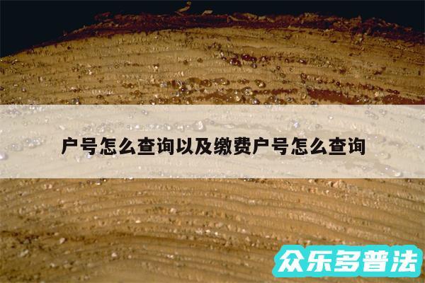 户号怎么查询以及缴费户号怎么查询