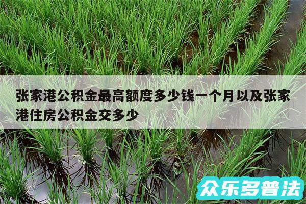 张家港公积金最高额度多少钱一个月以及张家港住房公积金交多少