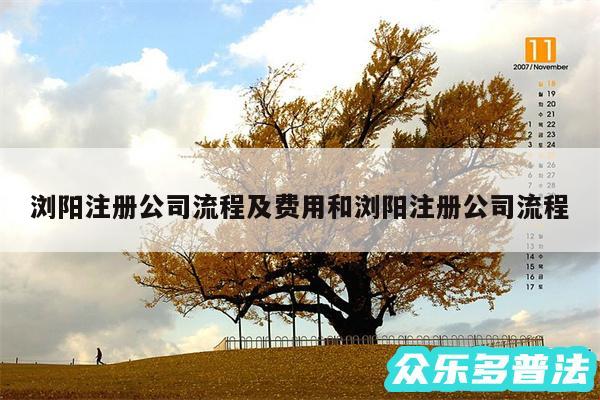 浏阳注册公司流程及费用和浏阳注册公司流程