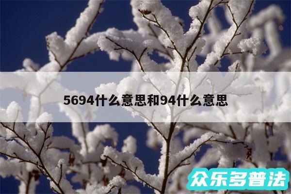 5694什么意思和94什么意思