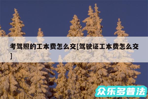 考驾照的工本费怎么交及驾驶证工本费怎么交
