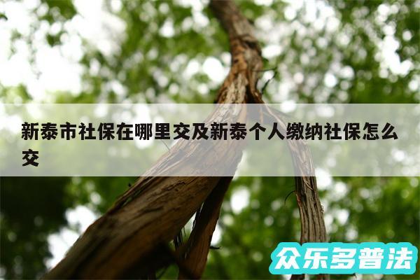 新泰市社保在哪里交及新泰个人缴纳社保怎么交