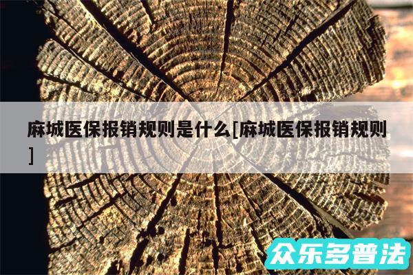 麻城医保报销规则是什么及麻城医保报销规则