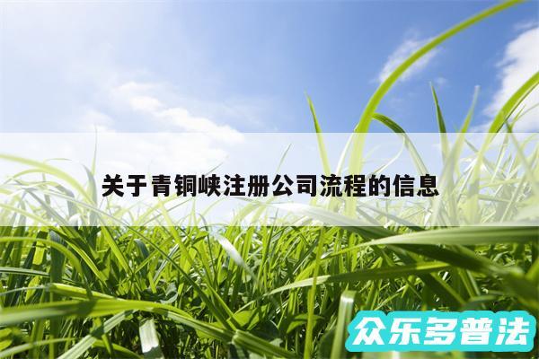 关于青铜峡注册公司流程的信息