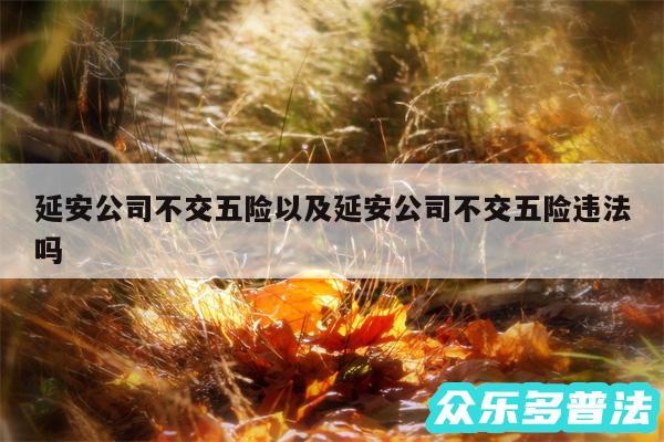 延安公司不交五险以及延安公司不交五险违法吗