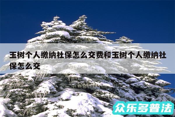 玉树个人缴纳社保怎么交费和玉树个人缴纳社保怎么交