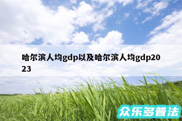 哈尔滨人均gdp以及哈尔滨人均gdp2024