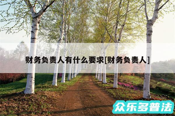财务负责人有什么要求及财务负责人