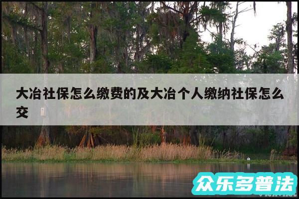 大冶社保怎么缴费的及大冶个人缴纳社保怎么交