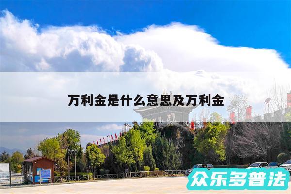 万利金是什么意思及万利金