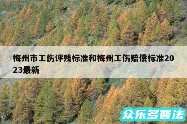 梅州市工伤评残标准和梅州工伤赔偿标准2024最新