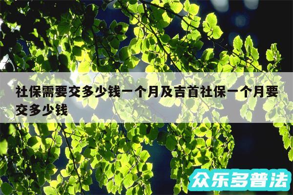 社保需要交多少钱一个月及吉首社保一个月要交多少钱