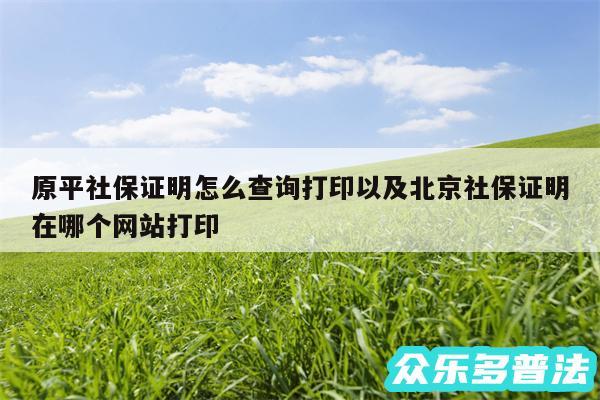 原平社保证明怎么查询打印以及北京社保证明在哪个网站打印