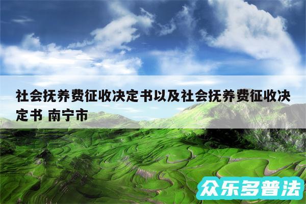 社会抚养费征收决定书以及社会抚养费征收决定书 南宁市