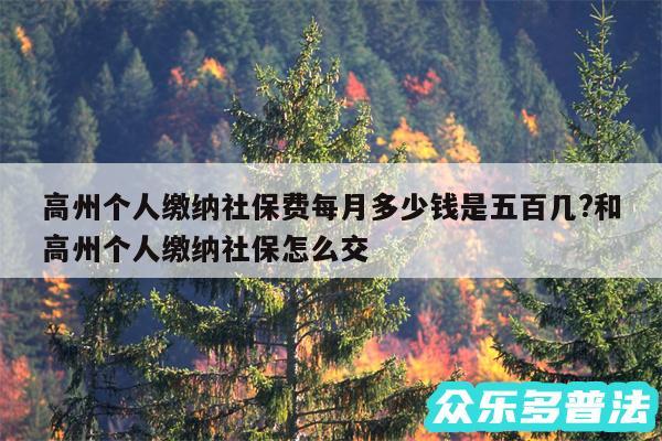 高州个人缴纳社保费每月多少钱是五百几?和高州个人缴纳社保怎么交