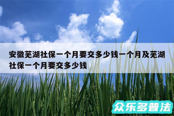 安徽芜湖社保一个月要交多少钱一个月及芜湖社保一个月要交多少钱