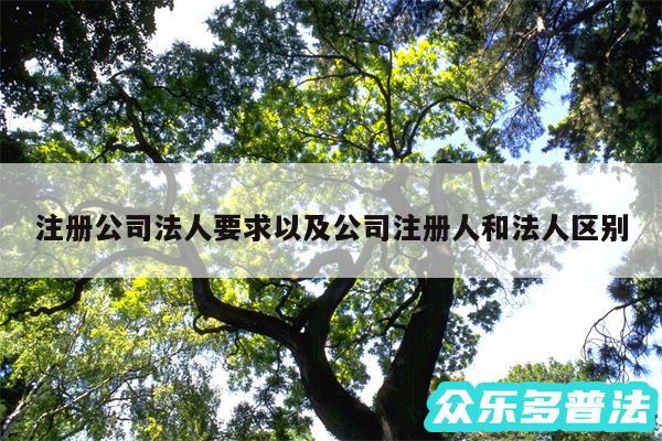 注册公司法人要求以及公司注册人和法人区别