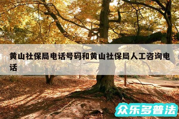 黄山社保局电话号码和黄山社保局人工咨询电话