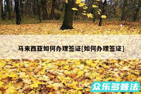 马来西亚如何办理签证及如何办理签证