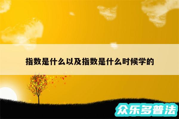 指数是什么以及指数是什么时候学的