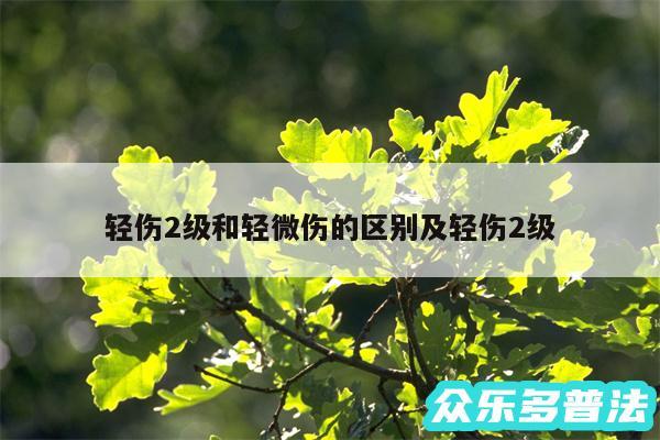 轻伤2级和轻微伤的区别及轻伤2级