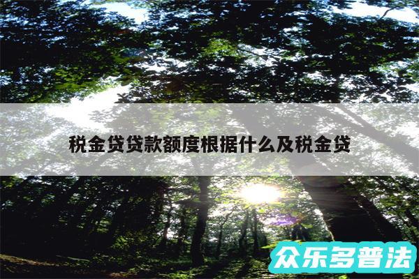 税金贷贷款额度根据什么及税金贷