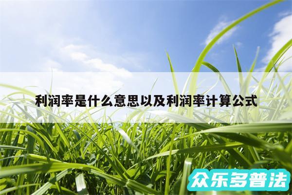 利润率是什么意思以及利润率计算公式