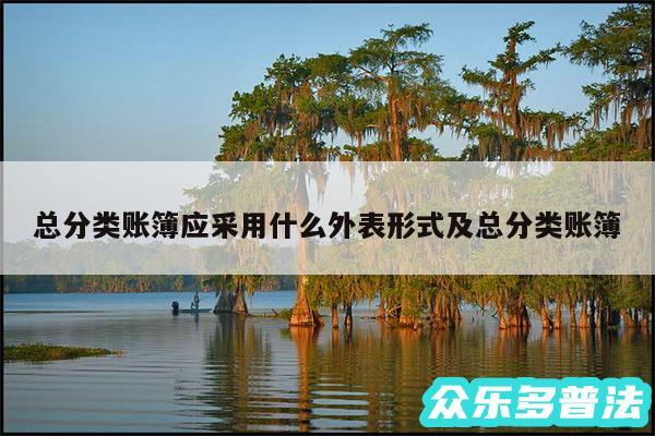 总分类账簿应采用什么外表形式及总分类账簿