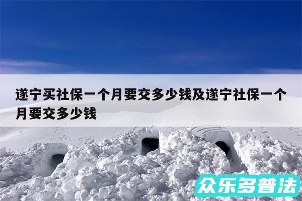 遂宁买社保一个月要交多少钱及遂宁社保一个月要交多少钱