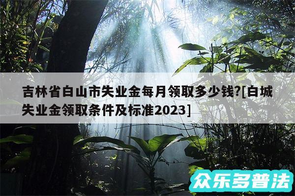 吉林省白山市失业金每月领取多少钱?及白城失业金领取条件及标准2024