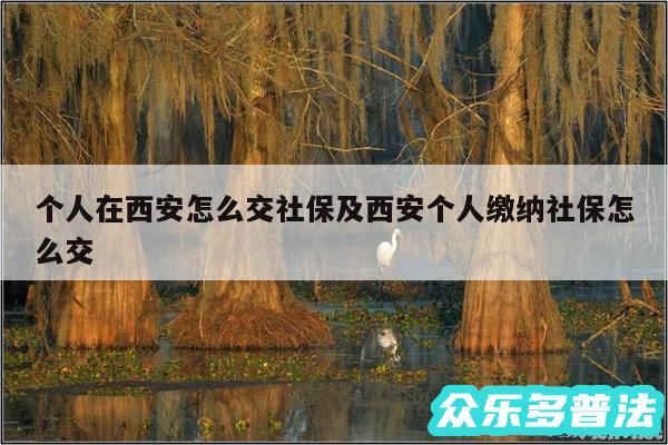 个人在西安怎么交社保及西安个人缴纳社保怎么交