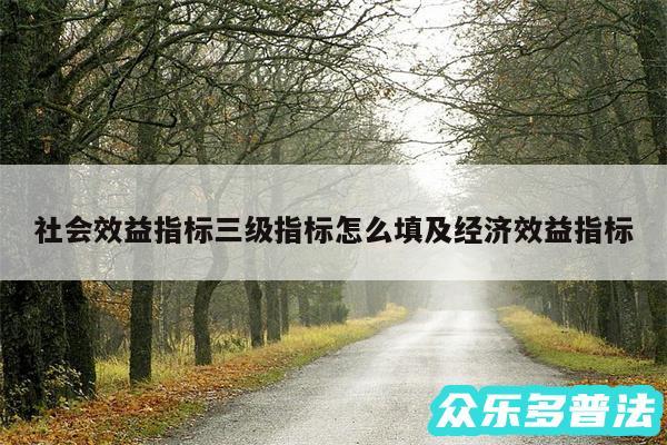 社会效益指标三级指标怎么填及经济效益指标
