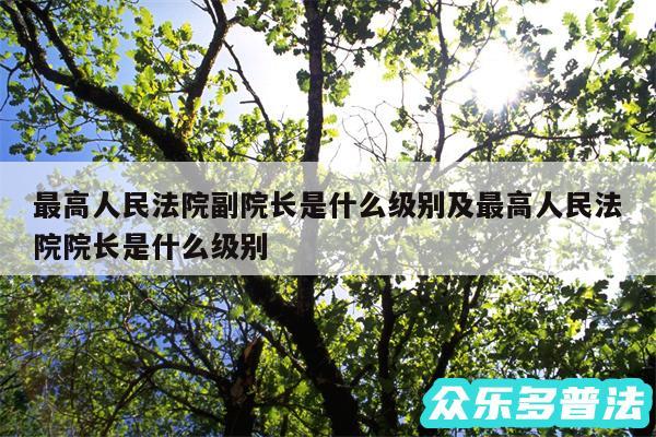 最高人民法院副院长是什么级别及最高人民法院院长是什么级别