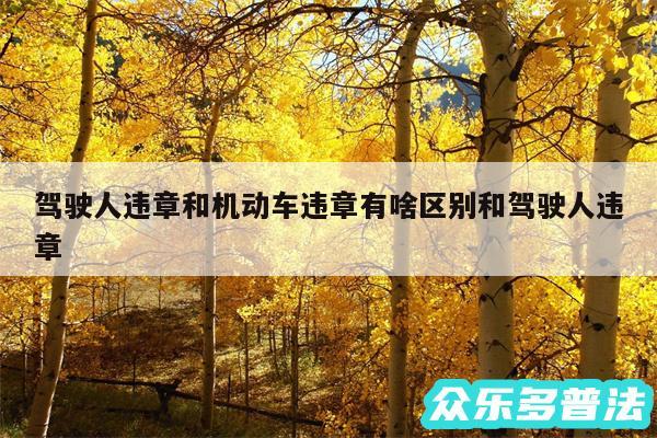 驾驶人违章和机动车违章有啥区别和驾驶人违章