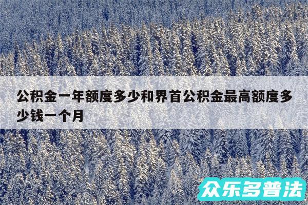 公积金一年额度多少和界首公积金最高额度多少钱一个月